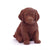 Retriever Puppy Chocolate Figure Puppies