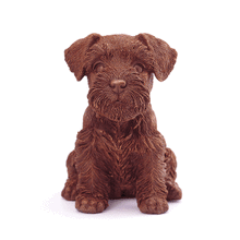 Load image into Gallery viewer, Schnauzer Puppy Chocolate Figure Puppies NYC