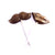 Chocolate Lollipops<br><small>minimum order 6 pc.</small>
