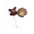 Chocolate Lollipops<br><small>minimum order 6 pc.</small>