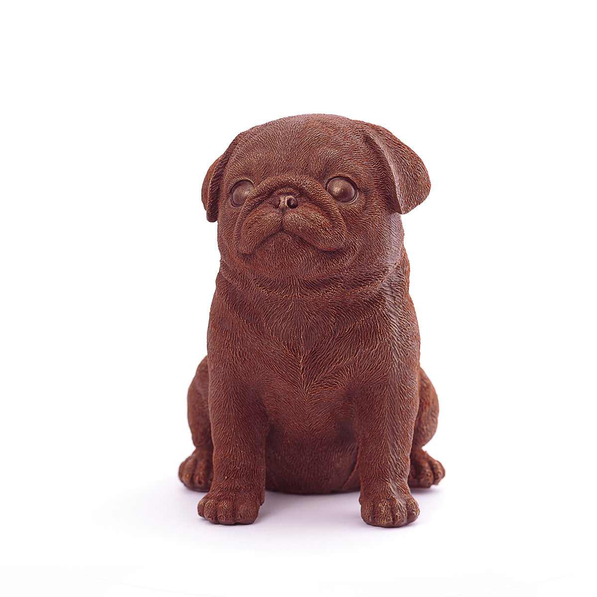 Pug Puppy Chocolate Puppies – Not Chocolate