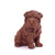 Shar-Pei Puppy Chocolate Figure Puppies New York