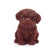 Shih Tzu Puppy Chocolate Figure Puppies NYC
